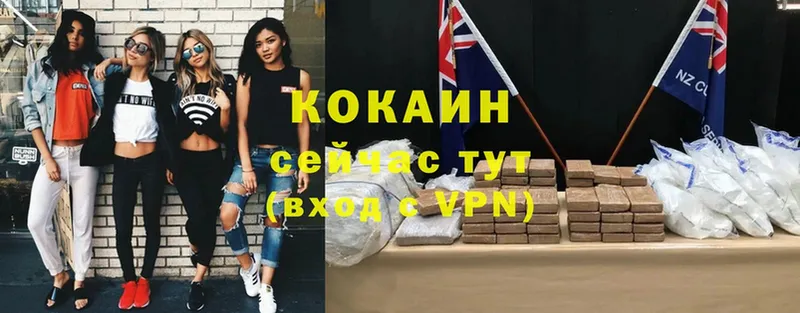 COCAIN Боливия  Кудымкар 