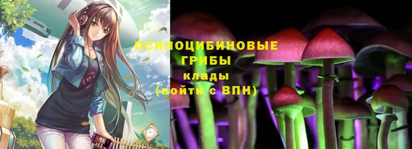 PSILOCYBIN Михайловка
