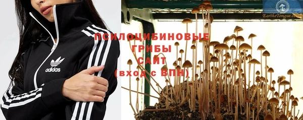 PSILOCYBIN Михайловка