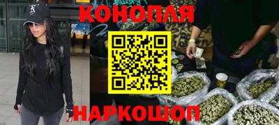 сатива Будённовск