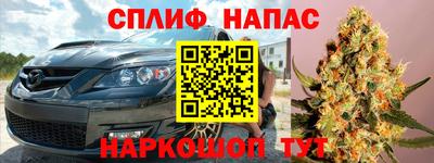 стаф Бузулук