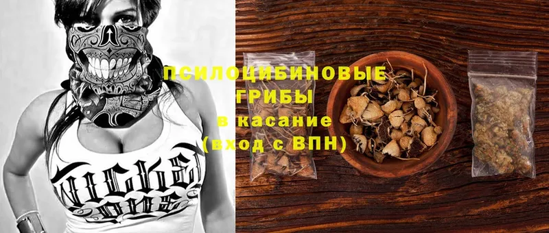 Галлюциногенные грибы Magic Shrooms  Кудымкар 