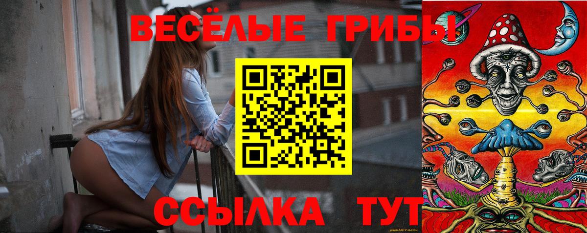 Галлюциногенные грибы мицелий  Псилоцибиновые грибы Cubensis  как найти   Кудымкар  Вход с VPN 