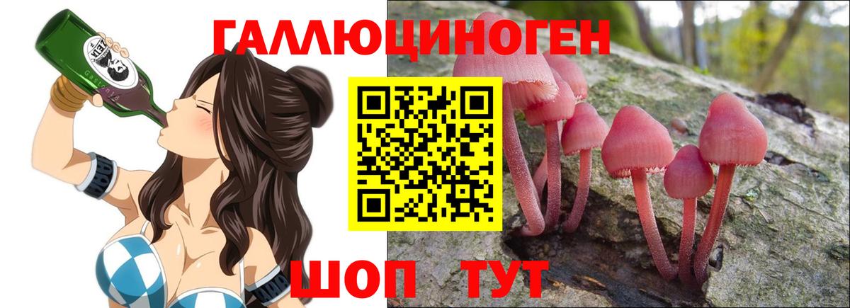 Галлюциногенные грибы GOLDEN TEACHER  Кудымкар 