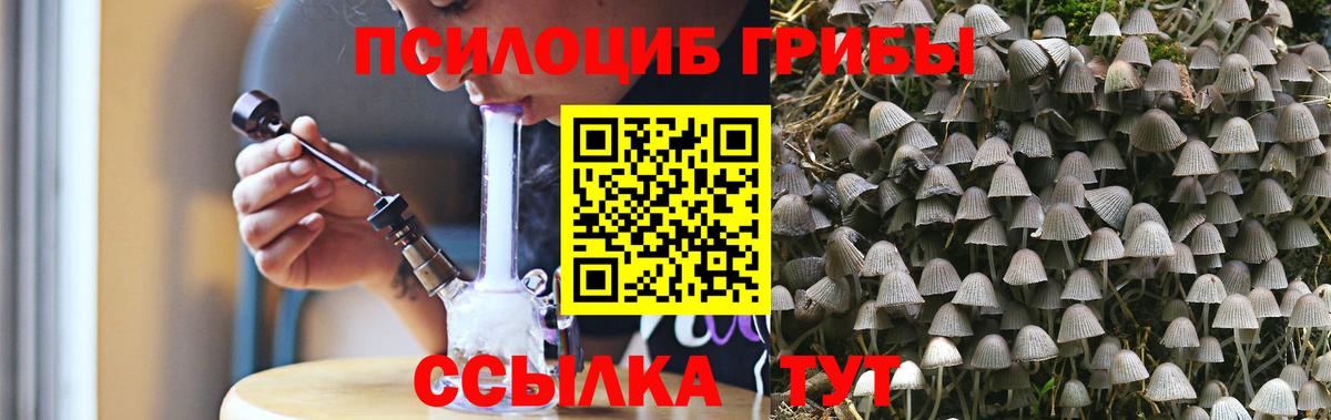 Псилоцибиновые грибы MAGIC MUSHROOMS Кудымкар