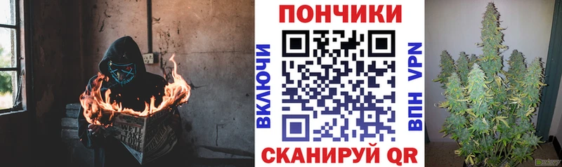 Канабис White Widow  hydra как зайти  Кудымкар  как найти закладки 